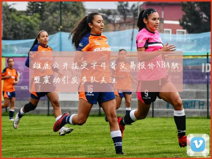 雄鹿公开接受字母哥交易报价NBA联盟震动引发多队关注
